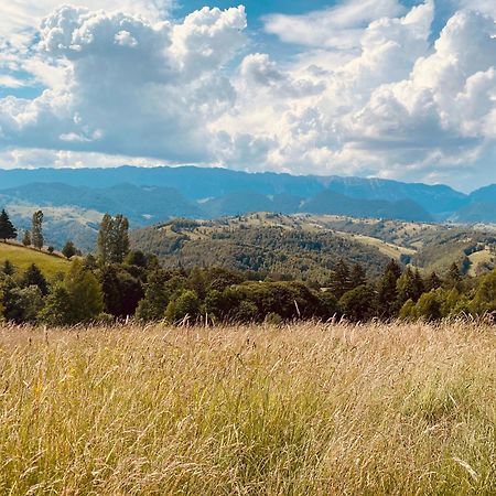 Amont Chalet Peştera エクステリア 写真