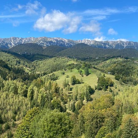 Amont Chalet Peştera エクステリア 写真