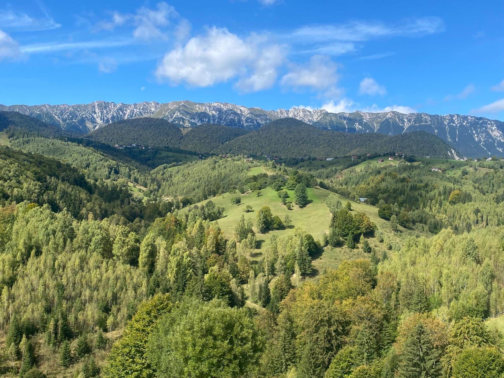 Amont Chalet Peştera エクステリア 写真