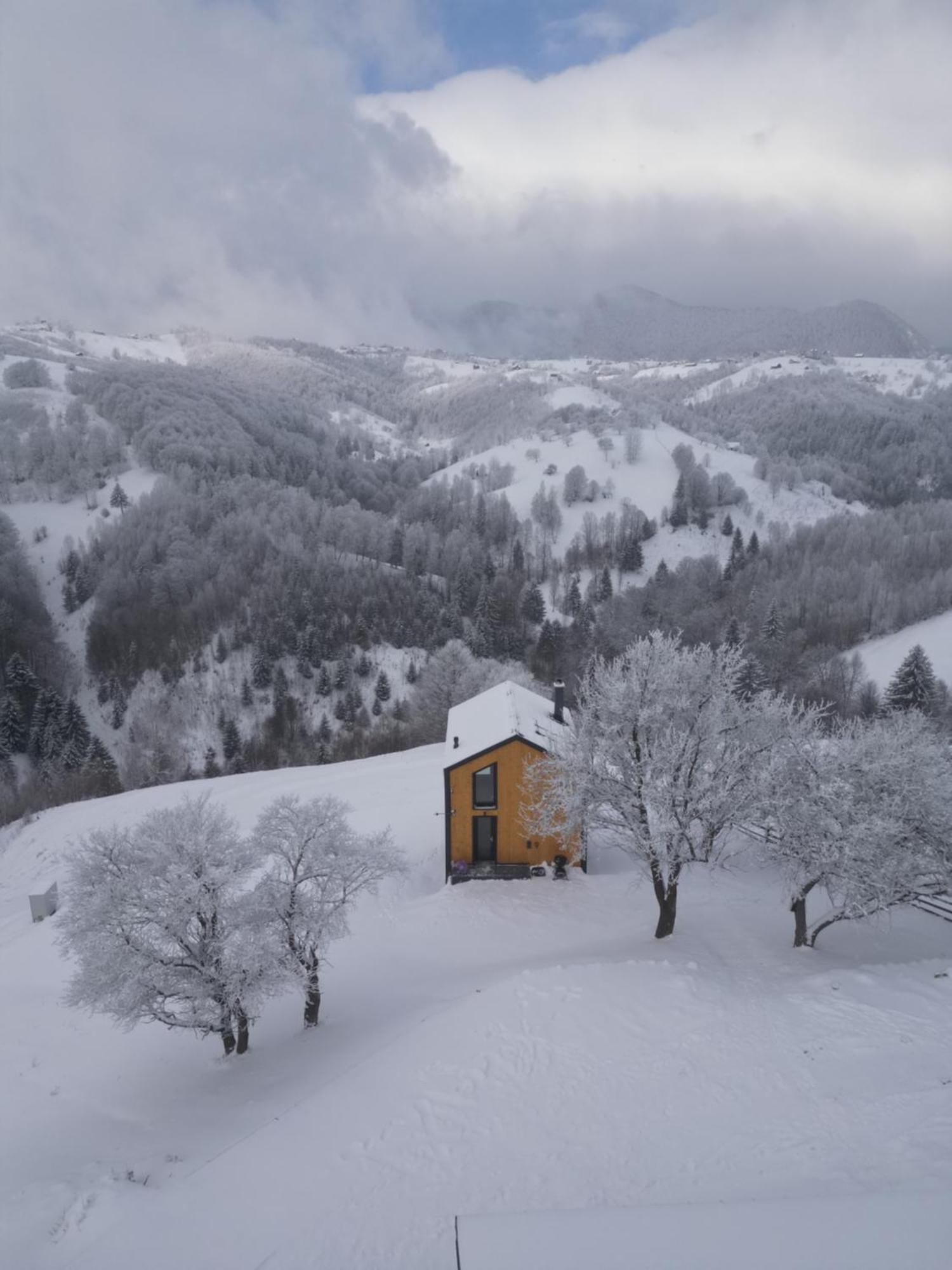 Amont Chalet Peştera エクステリア 写真