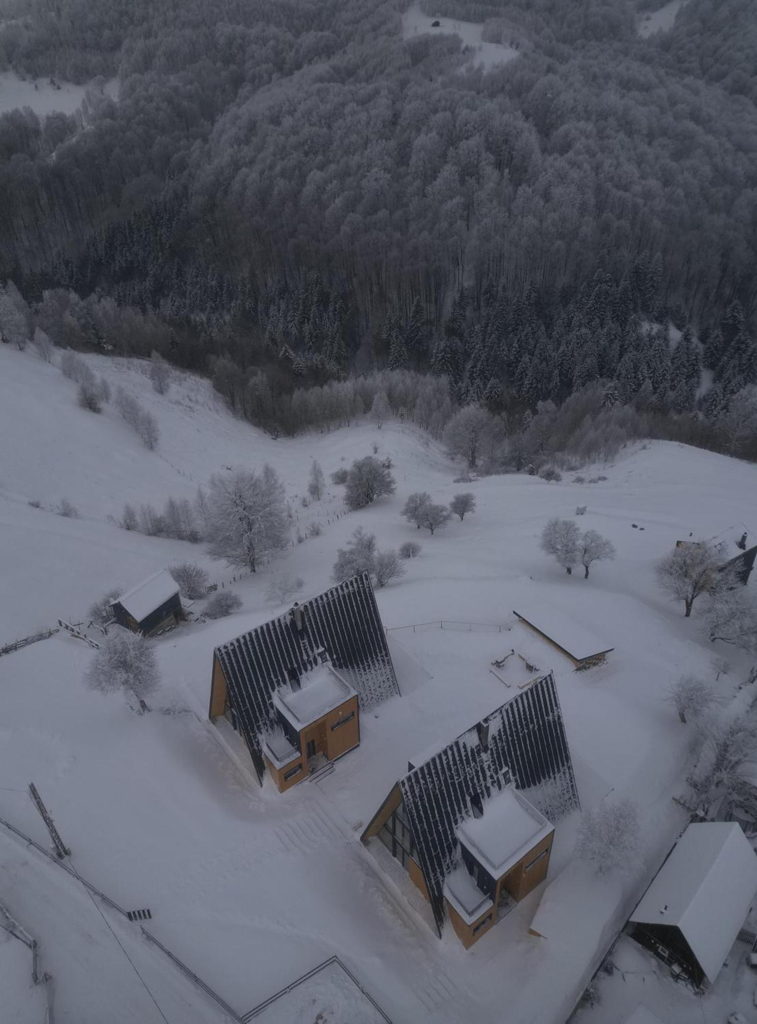 Amont Chalet Peştera エクステリア 写真
